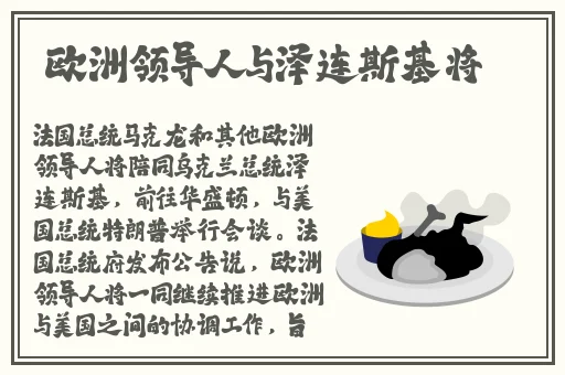 毛茸茸BBMMBBBB视频